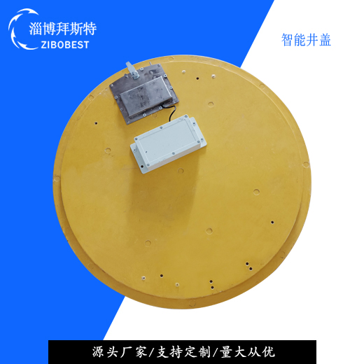 【智能井蓋】城市安全新革命！防墜防盜+實時監測，讓城市管理更智慧、更高效